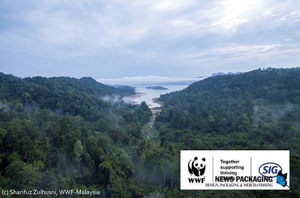 SIG lanza un segundo proyecto con WWF Suiza para apoyar los bosques en Malasia